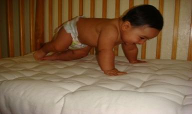 We have lots of information on crib mattresses, and this is the best one available. chemical free crib mattress can be ordered with virgin wool wrap.